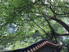 -西樵山风景名胜区-天湖公园