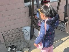 -上海老范农家乐(崇明前卫村店)