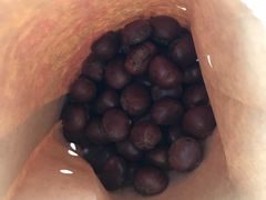 -高记福桂桂花糖炒栗(鼓楼店)