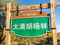 -亿利库布其七星湖沙漠生态旅游区