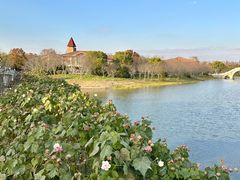 -上海海湾国家森林公园