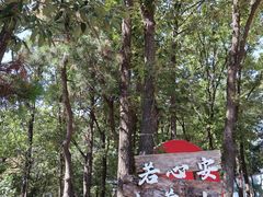 -沂蒙山旅游区云蒙景区(蒙山国家森林公园)