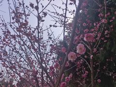 -开福禅寺