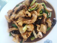 -巩本明鱼屋子