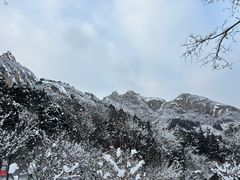 -北京凤凰岭