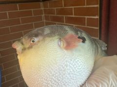 -永安鱼庄·镇江菜(丁卯店)