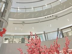 -金光华广场