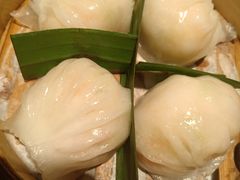 招牌虾饺妹-虾饺妹·酒家(金碧店)