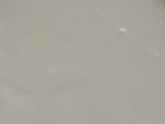 -何家壮馍店(南关总店)