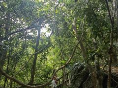 -七仙岭温泉国家森林公园