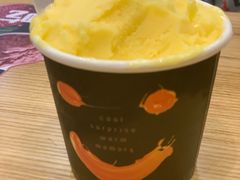 -野人先生现做冰淇淋(北京环宇荟店)