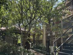 -张家港金凤凰度假村温泉