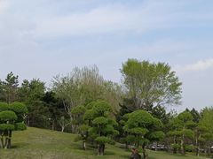 -群力丁香公园