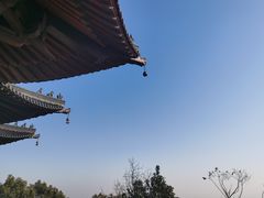 -杭州半山国家森林公园