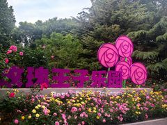 -大望京公园