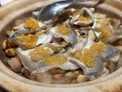 -新吉士·上海菜(浦东LCM置汇旭辉店)