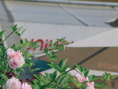 -UNIUNI(凯瑟琳广场店)