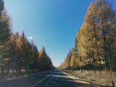 -西拉沐沦大峡谷园区