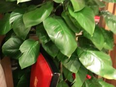 -解家河南菜(商鼎路店)