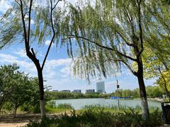 -大兴滨河森林公园