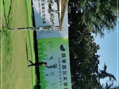 -银涛高尔夫练习场(徐泾店)