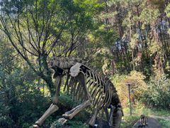 -森波拉火山温泉