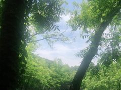 -WeLope紫金山探险公园