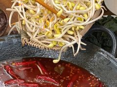 -阳阳老火锅(小南门店)