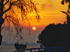 -上海吴淞炮台湾国家湿地公园