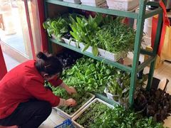 -虾神於氏龙虾·小龙虾(江宁旗舰店)