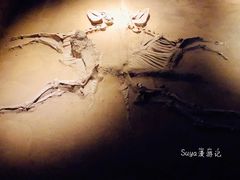 -洛阳周王城天子驾六博物馆