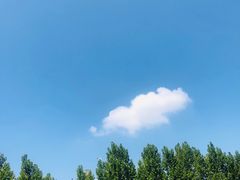 -老板恋上鱼(印象城店)