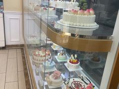 -蒲公英(五里店)