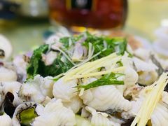 白灼鱼片-众源美食(光复阁店)