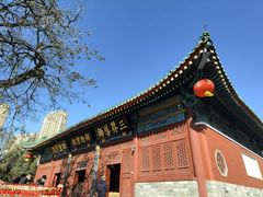 -天津大悲禅院