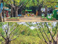 -广州体育学院体操馆