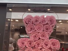 -ROSEONLY诺誓(广州K11店)