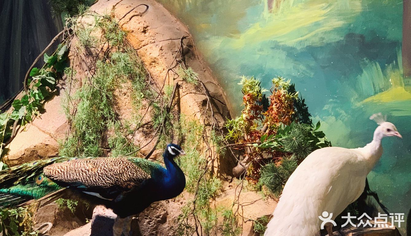 许昌首家室内动物园