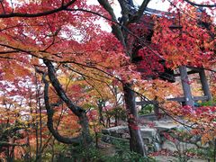 -常寂光寺