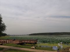 -丁香湖公园