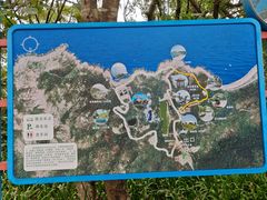 -广东惠东海龟国家级自然保护区