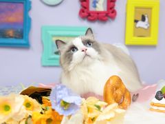 -Oh My Dog宠物沙龙(伊珊娜皮毛护理店)