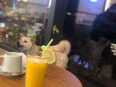 -柴犬小屋·柴餐厅·狗咖食堂(金鼎广场店)