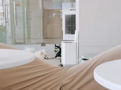 -怪兽屋·羊驼·猫咖·狗咖(俊华广场店)