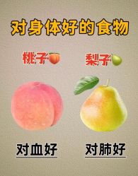 -Fundi张玉珊修身堂·indiba·BTL科技瘦身