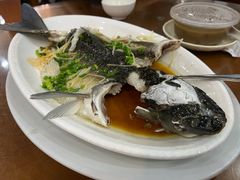 盐水海鲈鱼-煲煲掂风味煲仔饭餐厅(西区店)