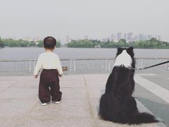 -东湖景区