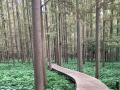 -上海怡沁园度假酒店