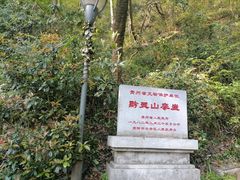 -黔灵山公园