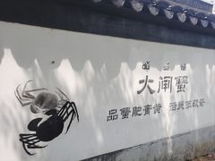 -欢乐蟹庄·精品农家乐(阳澄湖莲花岛店)